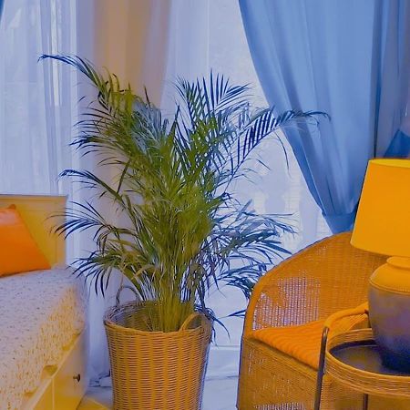 Apartament - Lisa Budva Zewnętrze zdjęcie