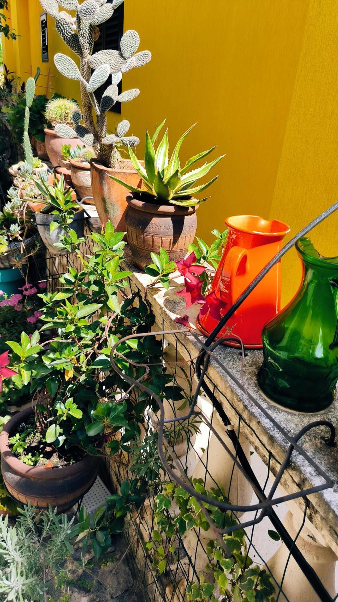 Apartament - Lisa Budva Zewnętrze zdjęcie