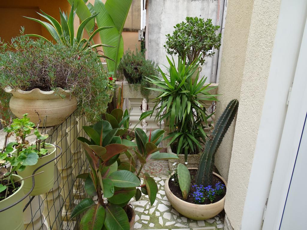 Apartament - Lisa Budva Zewnętrze zdjęcie