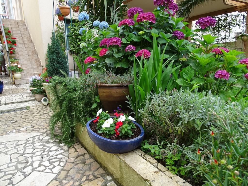 Apartament - Lisa Budva Zewnętrze zdjęcie