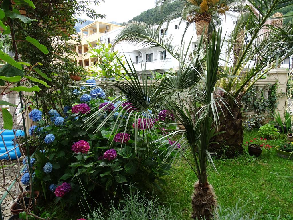 Apartament - Lisa Budva Zewnętrze zdjęcie